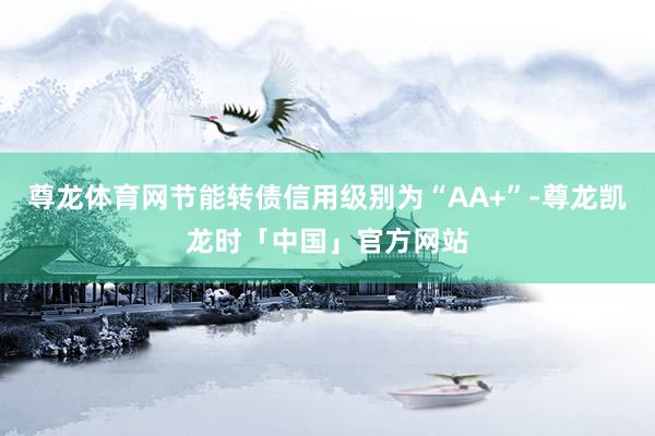 尊龙体育网节能转债信用级别为“AA+”-尊龙凯龙时「中国」官方网站