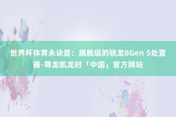 世界杯体育永诀是：旗舰级的骁龙8Gen 5处置器-尊龙凯龙时「中国」官方网站